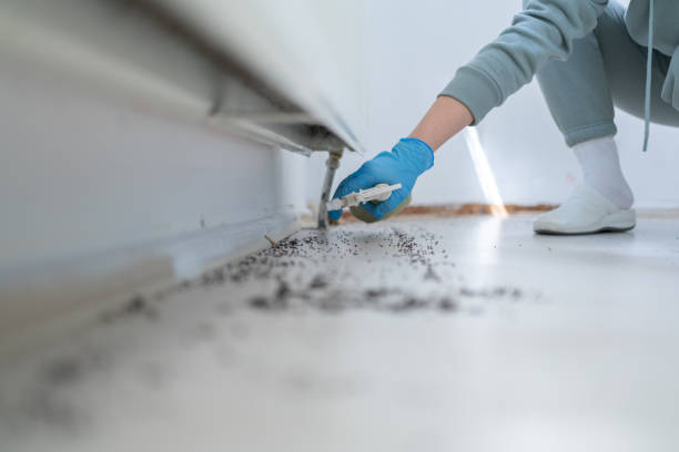 Best Cockroach Control Services  in Salem, OH